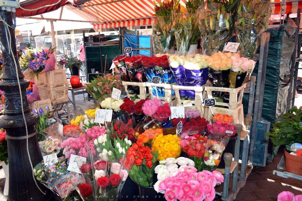 139- Vieux Nice .JPG